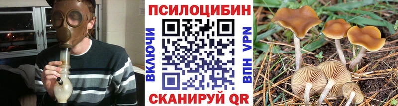 Псилоцибиновые грибы Magic Shrooms  где купить   Наволоки 
